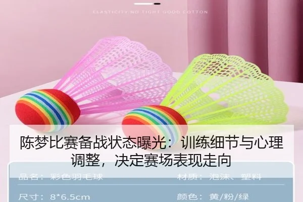 陈梦比赛备战状态曝光：训练细节与心理调整，决定赛场表现走向
